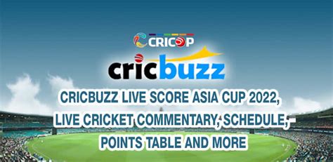Australia vs Pakistan, 2nd Test, Day 2. . Cricbuzz live score